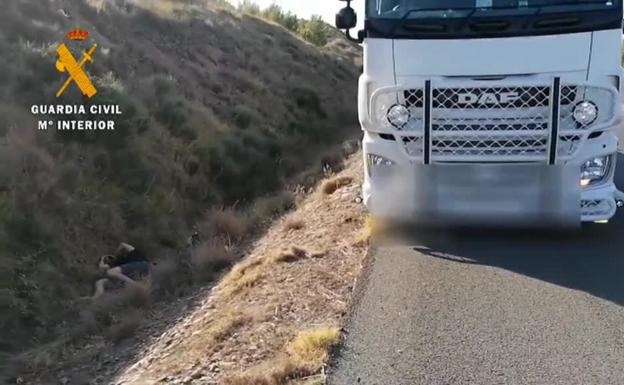 Detenido en La Rioja un camionero que no podía mantenerse en pie durante la prueba de alcoholemia